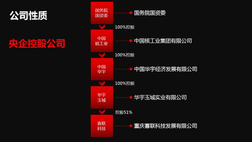 新囍聯新產品新模式渠道商啟動大會圓滿召開，開啟互聯網數據服務新篇章